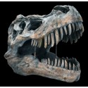 Lebka Tyranosaurus Rex