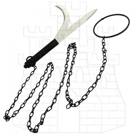 Kyoketsu Shoge Ninja