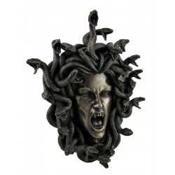 Medusa hlava