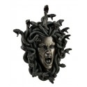 Medusa hlava
